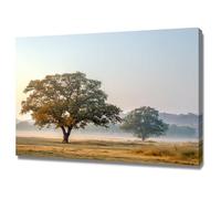 XENIOU Landscape Poster The sun rises from the prairie trees pictures, print canvas poster decor for living room, bathroom canvas art, for Bedroom Home Decoration.(black)-70x100cm Framed