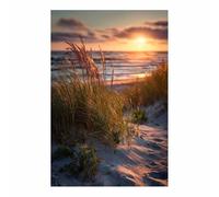 XENIOU Landscape Wall Art The sunset in the beachside is the shadow of the grass artwork, wall decoration Living Room Bedroom Hallway Stairs Decoration(Multicolor)-60x90cm Unframed