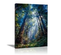 XENIOU Landscape Wall Pictures Illuminate the forest landscape artwork, wall decoration Living Room Bedroom Hallway Stairs Decoration(blue)-70x100cm Framed