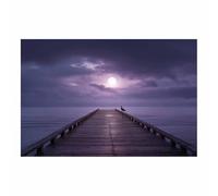 XENIOU Landscape Wall Pictures The light moon is the lone bird trestle bridge pictures, print canvas poster decor for living room, bathroom Bedroom Home Decoration.(Multicolor)-40x60cm Unframed