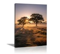 XENIOU Nature Wall Art The sun rises from the prairie trees modern canvas wall art, decorative paintings, canvas painting wall art for Home Decor.(yellow)-70x100cm Framed