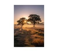 XENIOU Nature Wall Art The sun rises from the prairie trees modern canvas wall art, decorative paintings, canvas painting wall art for Home Decor.(yellow)-80x120cm Unframed