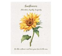 XENITE Wall Art Canvas Prints Retro Minimalist Flower Simple Poster Prints Sunflower Lily Language Of Flowers Canvas Painting Wall Art Picture Home Room Decor(J,30x40cm)