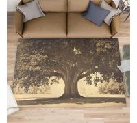 XEODIAT Ancient Trees Rugs Living Room 60x90cm Natural Ecology Area Rugs for Bedroom Tree Rings Non Slip Printed Carpet for Bedroom Living Room Kitchen
