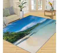 XEODIAT Beaches Rug, Natural Scenery Rugs for Living Room, Tropical Sandy Beaches Carpet Home Decor 60x110cm