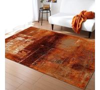 XEODIAT Burnt Orange Oil Painting Art Area Rug Retro Old Orange Texture Farmhouse Machine Washable Carpet for Living Room Bedroom Dining Room Farmhouse Laundry Room Bathroom 60 x 110 cm