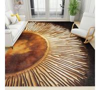 XEODIAT Retro Abstract Sun Area Rug Orange Sun Art Machine Washable Carpet for Living Room Bedroom Dining Room Farmhouse Laundry Room Bathroom 60 x 110 cm