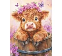 Xeoyenle Paint by Numbers for Adults Highland Cattle, Painting by Number Kit on Canvas, DIY Unframed Acrylic Oil Painting Kits with Brushes for Home Wall Decor Gifts 20x25 cm Animal -,325