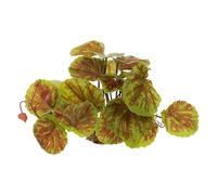 Xeric Habitat - Fake Plants for Reptiles | Weighted Base Frame with Botanical Logic, High Fidelity Arboreal Hub & Foliage Nodes for Lizards, Geckos and Frogs