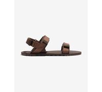 Xero Shoes - D-Trail - Barefoot shoes size 5, brown