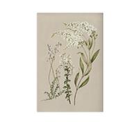 XFATGIA French Country Plant Wall Decoration Canvas Poster Bedroom Decor Landscape Office Room Decor Gift 08x12inch(20x30cm)