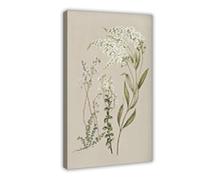 XFATGIA French Country Plant Wall Decoration Canvas Poster Wall Art Decor Print Picture Paintings for Living Room Bedroom Decoration 24x36inch(60x90cm)