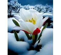 XFENDOUDOU Cross Stitch Kits for Adults Beginners Stamped Snowflake Needlework Home Deco 16x20inch