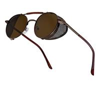 XFentech Steampunk Sunglasses - Classic Fashion Round Polarized Sunglasses Vintage Polarized Sunglasses, A1 Brown Frame - Brown Lenses