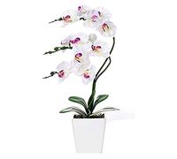 XFLSDHGD 15" Artificial Phalaenopsis w/Porcelain Vase Indoor Silk Orchid Fake Plants in Pot Faux Flowers Arrangements for Living Room Table Centerpieces Home Decor