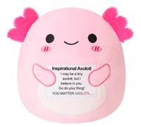 Xfrog Cute Axolotl with Positive Card for Decorations, Funny Plush Toy Cheer up Gifts, Soft Kids' Plush Pillows for Girls Boys Pink/25CM