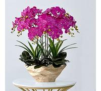 XFZJCHAP Artificial Flower in Pot Artificial Orchid with Vase Large Fake Flower Phalaenopsis Faux Plants White, Yellow 68cm