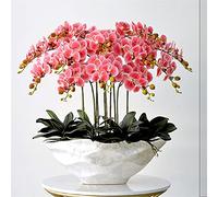 XFZJCHAP Artificial Flower in Pot Large Artificial Butterfly Orchid Bonsai Fake Flower and Vase Arrangement Silk Cloth Butterfly Orchid Bonsai, Pink