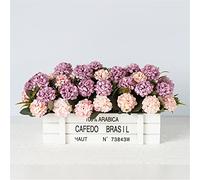 XFZJCHAP Artificial Flowers Plants Pot Fake Flower Potted Ornaments for Home Decoration Craft Plant Decorative 1pcs (Color : C)