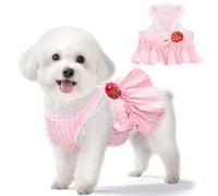 XGDMEIL Cute Strawberry Small Dog Dress with D-Ring Princess Lace Girl Female Dog Clothes Spring Summer Breathable Mesh Pet Puppy Cats Harness Dress for Shih Tzu Yorkies Chihuahua Maltese(Pink,Medium)
