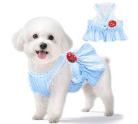XGDMEIL Cute Strawberry Small Dog Dress with D-Ring Princess Lace Girl Female Dog Clothes Spring Summer Breathable Mesh Pet Puppy Cats Harness Dress for Shih Tzu Yorkies Chihuahua Maltese(Blue,Medium)