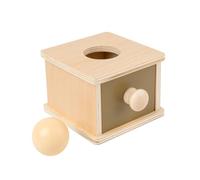 Xgdsnly Ball Drop Box, Fine Motor Skills Training for Children, Learning Aid for Object Permanence