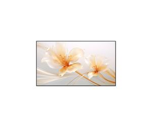 XGIMI 100" UST ALR Screen