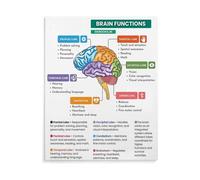 XGINERFEX Brain Anatomy Poster Lobes and Functions Chart Educational Wall-Art Canvas Print for Psychology Class Office(Unframed,16X24inch(40X60cm))
