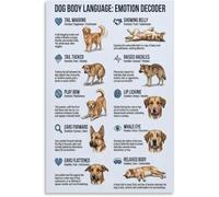 XGINERFEX Dog Body Language Understanding Poster Pet Owner Education Guide Vet Clinic Bedroom Decor(Unframed,12x18inch(30x45cm))
