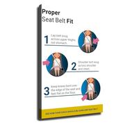 XGINERFEX Educational Driving Poster Seat Belt Chart How To Use Guide Wall-Art for Traffic School Classroom Decor(Framed,08x12inch(20x30cm))