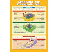 XGINERFEX Educational Science Poster Cell Biology Chart Comparing Eukaryotic and Prokaryotic Cells for Classroom Homeschool or Laboratory Wall Decor(Unframed,16x24inch(40x60cm))