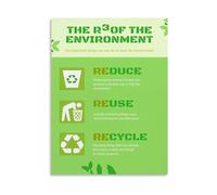 XGINERFEX Environmental Education Poster The 3 Rs Reduce Reuse Recycle Green Living Canvas Wall-Art for Classroom Office(Framed,16x24inch(40x60cm))