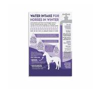 XGINERFEX Essential Horse Care for Winter Poster, Understanding Water Intake Needs Educational Farmhouse Wall-Art(Unframed,16x24inch(40x60cm))