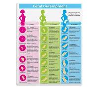 XGINERFEX Fetal Growth Chart Pregnancy Education Poster W y W evelopment Stages Wall-Art for Nursery Decor or Home Birth Room(Framed,16x24inch(40x60cm))
