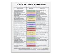XGINERFEX Flower Remedies and Meanings Poster Botanical Chart Canvas Wall-Art for Wellness Study and Space (Framed,16x24inch(40x60cm))