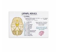 XGINERFEX Human Brain Cranial Nerves Anatomy Educational Poster Canvas Painting Wall Decor for Science Classroom Study Room Living Room Bedroom(Framed,08x12inch(20x30cm))