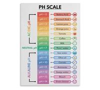 XGINERFEX Minimalist pH Scale Wall-Art - Science Themed Poster Print, Modern Chemistry Decor for Office, Study, Bedroom, Gift for Scientist (Unframed,16x24inch(40x60cm))