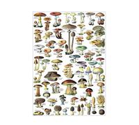 XGINERFEX Mushroom Identification Poster - Vintage Mycology Chart with Common Edible & Poisonous Fungi - Educational Botanical Wall-Art for Foragers & Nature Lovers(Framed,08x12inch(20x30cm))