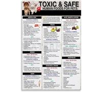 XGINERFEX Safe and Toxic Food List for Dogs Cats Feeding Guide Diet Chart Educational Poster Pet Owner Gift Home Veterinary Clinic Office Decor(Framed,16x24inch(40x60cm))