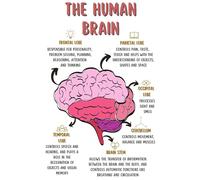 XGINERFEX Set of Neuroscience Posters, The Human Brain & Psychology Art Collection, Office Decor(Framed,12x18inch(30x45cm))
