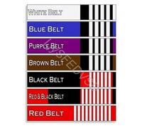 XGINERFEX The Essential BJJ Belt Progression Chart Educational Poster Canvas for Every Grapplers Home(Unframed,16x24inch(40x60cm))