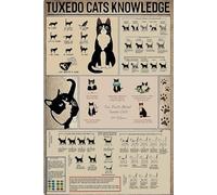 XGINERFEX Vintage Tuxedo Cat Knowledge Poster, Educational Art Chart with Fun Facts, Retro Wall Decor for Living Room, Office, Cat Lover Gift(Unframed,08x12inch(20x30cm))