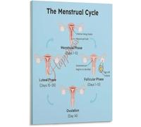 XGINERFEX Womens Menstrual Cycle Hormone Level Chart Poster Ovulation Fertility Window Guide Educational Canvas Wall-Art Living Room Bedroom(Unframed,12x18inch(30x45cm))