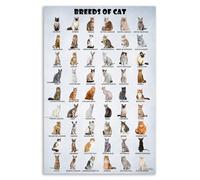 XGINERFEX World Cat Breeds Knowledge, Funny Feline Lovers Wall-Art Chart, Decorative Print for Cat Owners and Enthusiasts(Unframed,08x12inch(20x30cm))