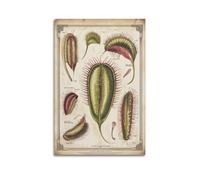XGKJDS Exquisite Modern Family Canvas Wall Art Picture Print Photo Album-Vintage Botanical Poster Venus Flytrap Illustration for Plant Lovers 24x36inch(60x90cm)