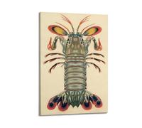 XGKJDS Poster Frame Canvas Wall Art Prints for Kitchen Decor - Mantis Shrimp Animal Presented in Vintage Illustration 12x18inch(30x45cm) Picture Frame Artwork