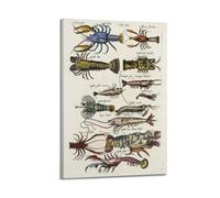 XGKJDS Poster Frame Canvas Wall Art Prints for Kitchen Decor - Popular Science About Various Lobster Animals 16x24inch(40x60cm) Picture Frame Artwork