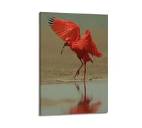 XGKJDS Poster Frame Canvas Wall Art Prints for Kitchen Decor - Red Crested Ibis Animal Standing by The Water Spreading Wings 12x18inch(30x45cm) Picture Frame Artwork