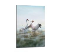 XGKJDS Poster Frame Canvas Wall Art Prints for Kitchen Decor - Sarus Crane Animals Interacting with Wings Spread on Grassland 20x30inch(50x75cm) Picture Frame Artwork