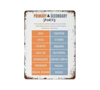 XHAJCSJWGD Classroom History Poster Metal Sign Understanding Primary and Secondary Sources Educational Tool for Middle School High School 8 X 12 inch